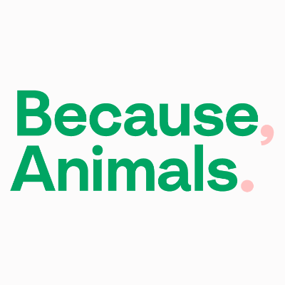 Because Animals