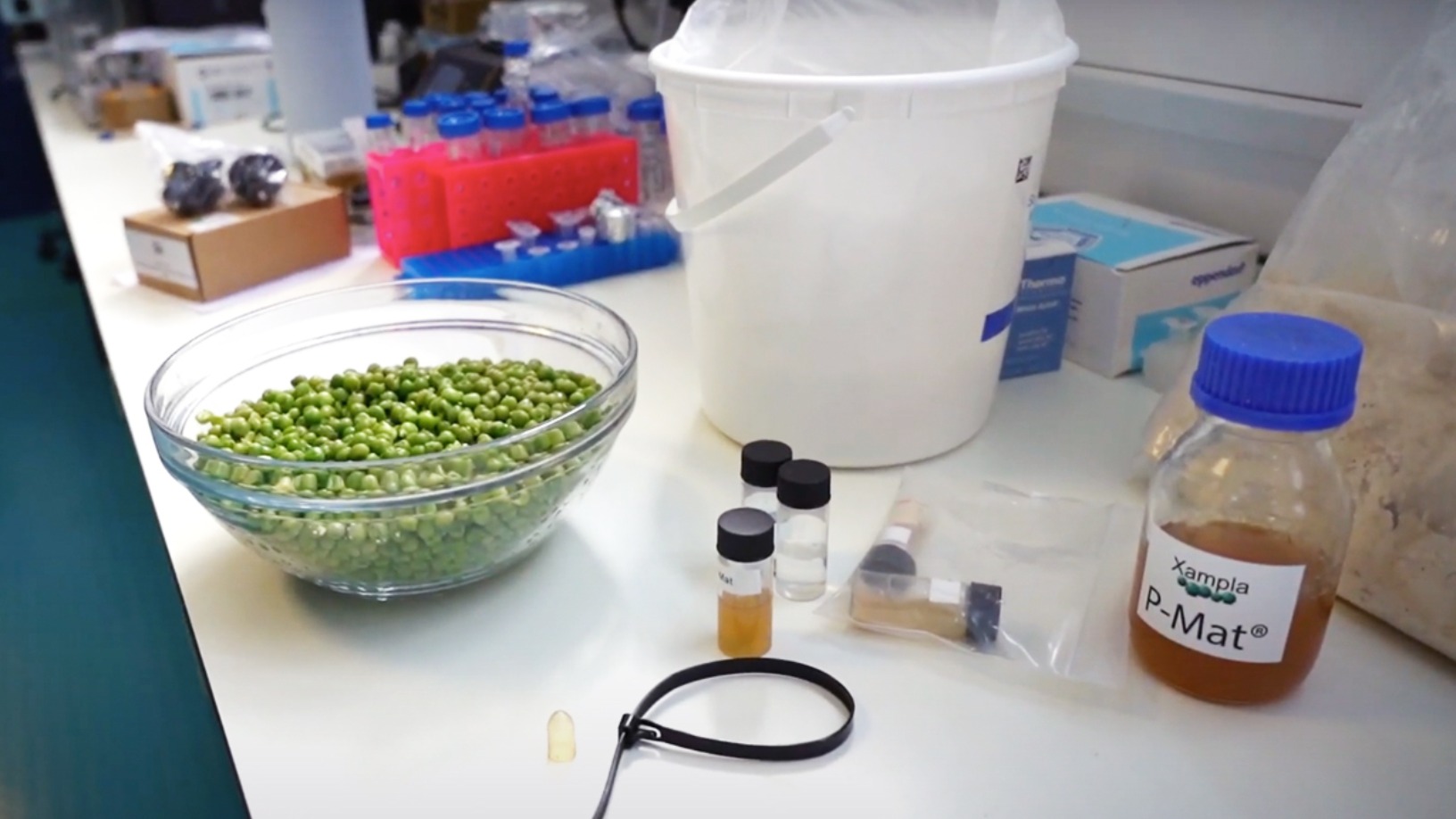 Xampla: Making strong, low-cost biodegradable plastic from peas