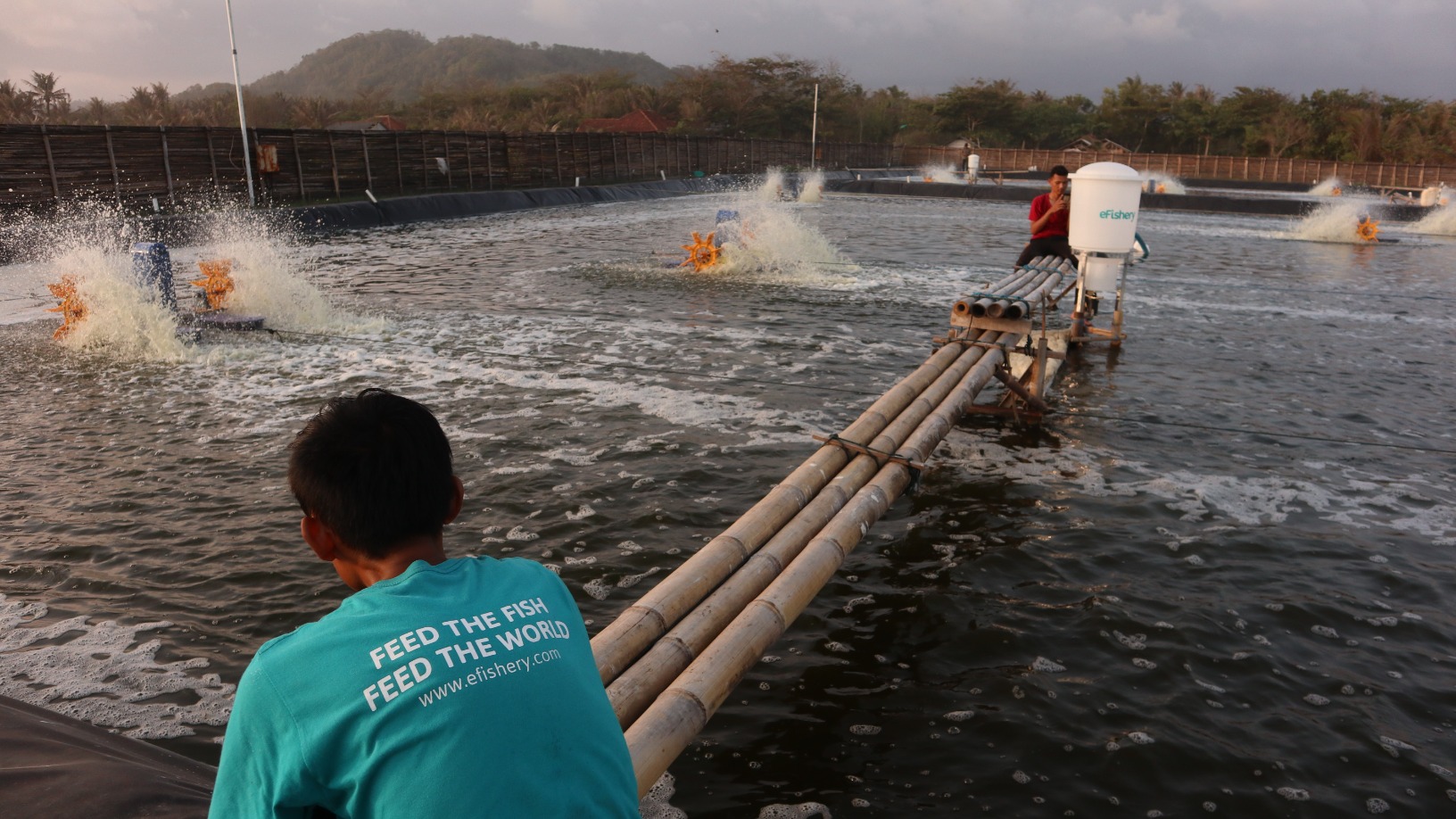 Indonesia's aquaculture startup eFishery eyes 1m farmer users in region