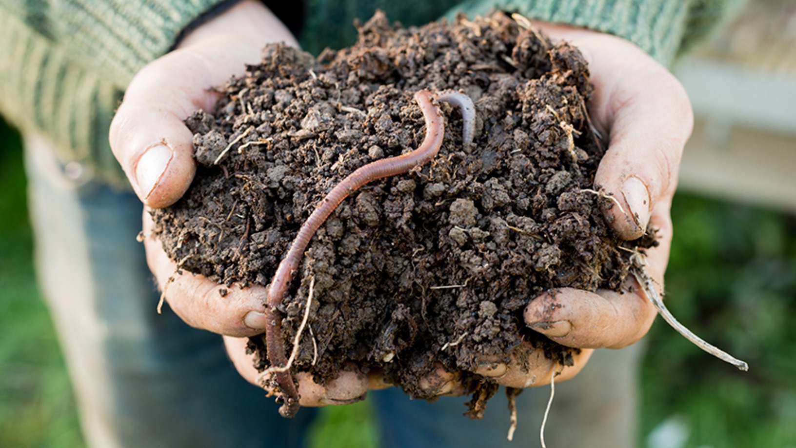 Xing Nong Fu: Using earthworms to create sustainable local farming and livelihoods