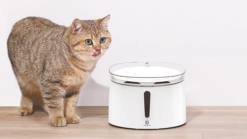 HomeRun: IoT devices for home-alone pets