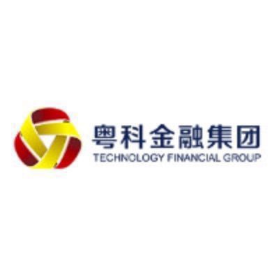 Technology Financial Group