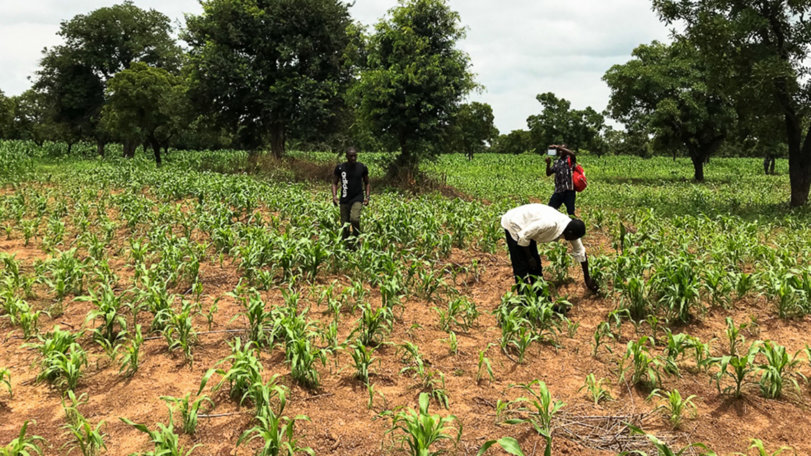 AgroCenta: Providing market access and credit to African smallholder farmers