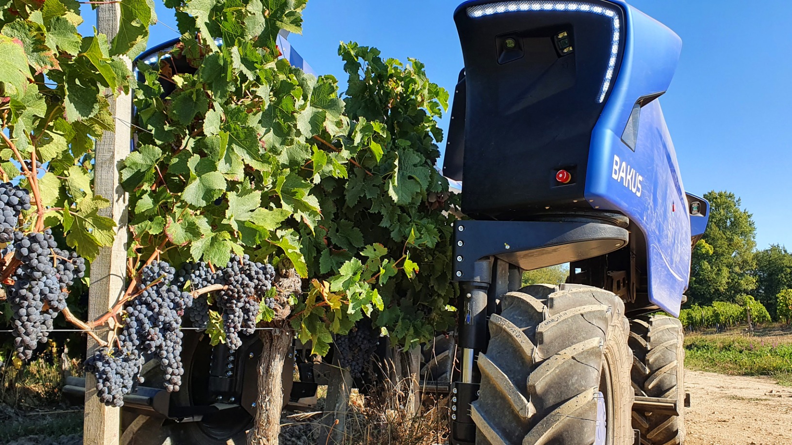 VitiBot: Using robotics to make winemaking more sustainable